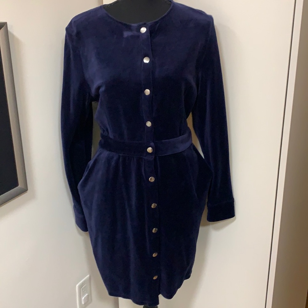 & Other Stories faux blue velvet button down dress! Like new! US10 $45